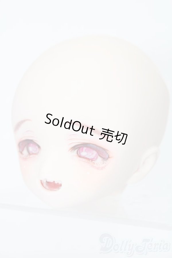 画像3: DD/DDH-01(モモハトっ子様製カスタム) S-25-08-31-025-TO-ZS (3)