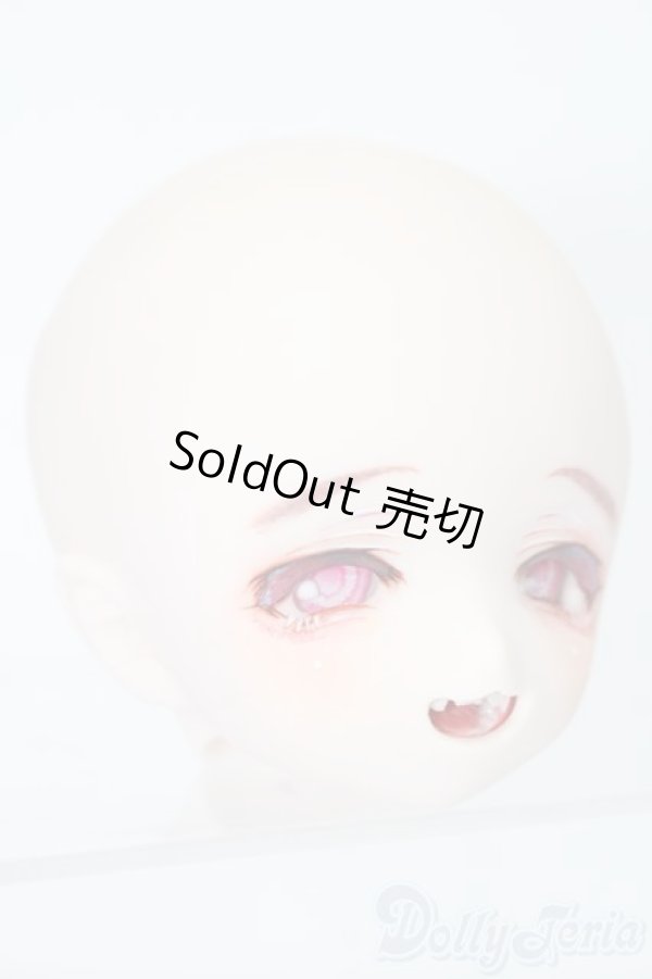 画像4: DD/DDH-01(モモハトっ子様製カスタム) S-25-08-31-025-TO-ZS (4)