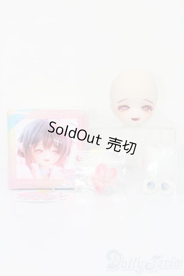 画像6: DD/DDH-01(モモハトっ子様製カスタム) S-25-08-31-025-TO-ZS (6)