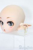 画像3: DD/B-3D様DDH-01カスタムヘッド S-25-08-31-023-TO-ZS (3)