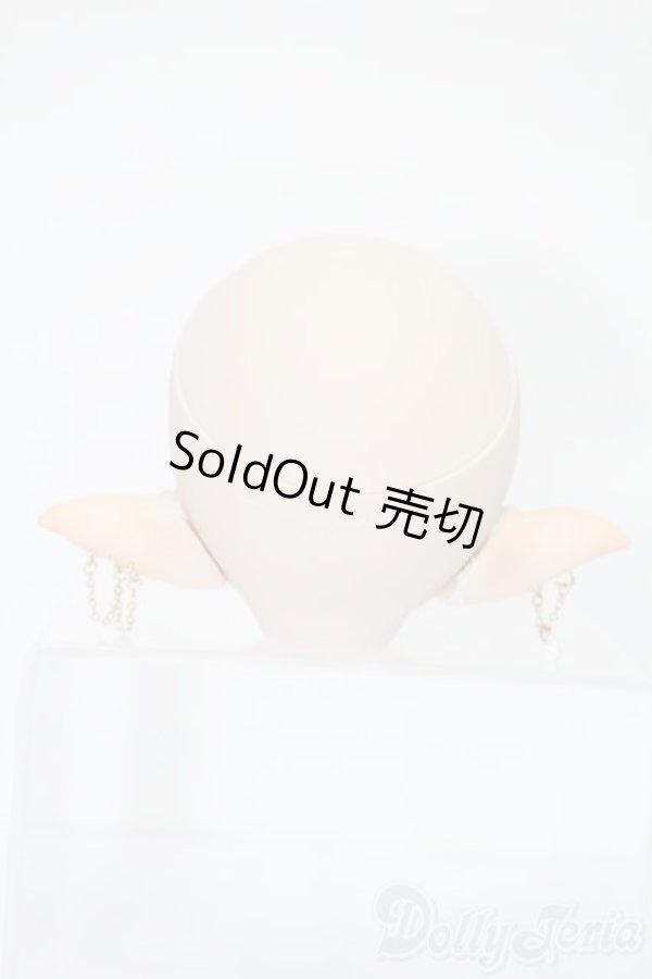 画像5: DD/B-3D様DDH-01カスタムヘッド S-25-12-21-392-TO-ZS (5)