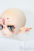 画像2: DD/B-3D様DDH-01カスタムヘッド S-25-08-31-024-TO-ZS (2)
