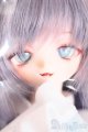 画像: DD/DDH-01 NOISETTO様製カスタムヘッド S-25-08-31-026-TO-ZS