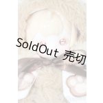 画像: PENNY'S BOX/ANTU(アンティーユ):可愛いプチ ブラインドぬいぐるみ シリーズ S-25-11-23-434-TO-ZS