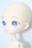 画像4: ニア・ハルモニア/キュリアス S-25-08-31-012-TO-ZS (4)