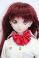 画像: DD/DDH-07ヘッド+DD-f3ボディ S-25-08-31-106-TO-ZS