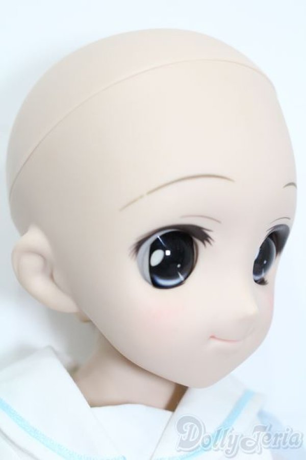 画像4: DD/DDH-04ヘッド+MDDボディ S-25-09-14-075-TO-ZS (4)