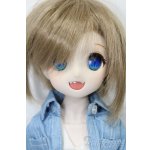 画像: DD/DDH-04ヘッド+MDDボディ S-25-09-21-051-TO-ZS