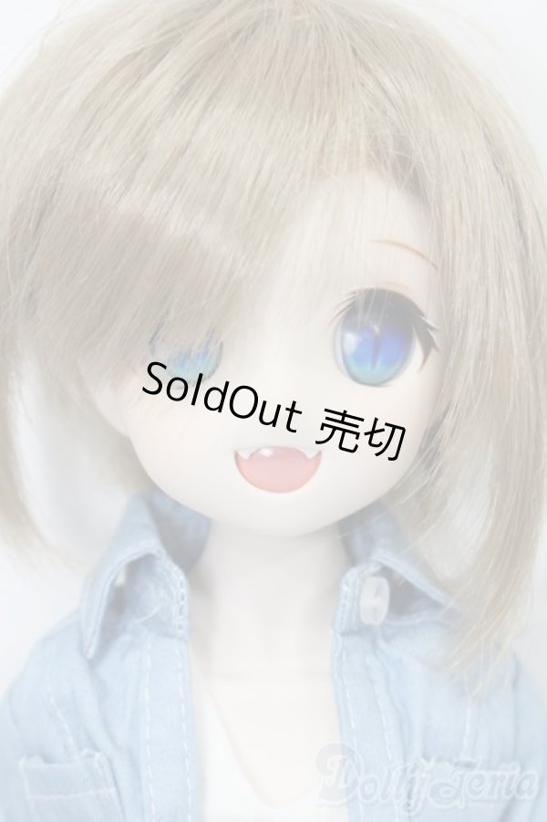 画像1: DD/DDH-04ヘッド+MDDボディ S-25-11-23-693-TO-ZS (1)