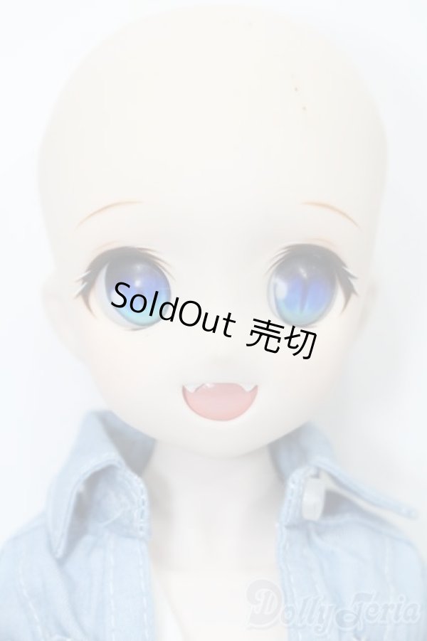 画像2: DD/DDH-04ヘッド+MDDボディ S-25-11-23-693-TO-ZS (2)