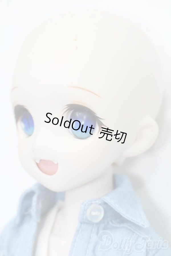 画像3: DD/DDH-04ヘッド+MDDボディ S-25-11-23-693-TO-ZS (3)