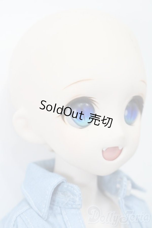 画像4: DD/DDH-04ヘッド+MDDボディ S-25-11-23-693-TO-ZS (4)