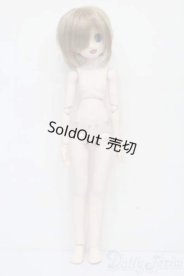 画像7: DD/DDH-04ヘッド+MDDボディ S-25-11-23-693-TO-ZS (7)