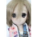 画像: DD/DDH-04ヘッド+MDDボディ S-25-09-21-205-TO-ZS