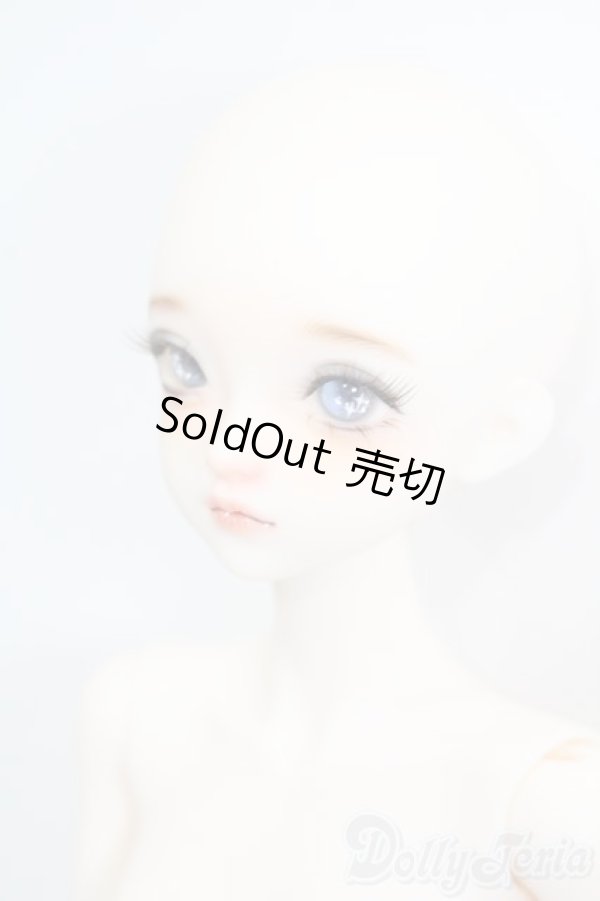 画像2: XAGADOLL/?竹フルセット S-25-11-23-535-TO-ZS (2)