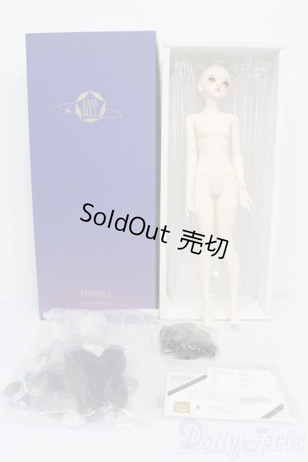 画像6: XAGADOLL/?竹フルセット S-25-11-23-535-TO-ZS (6)