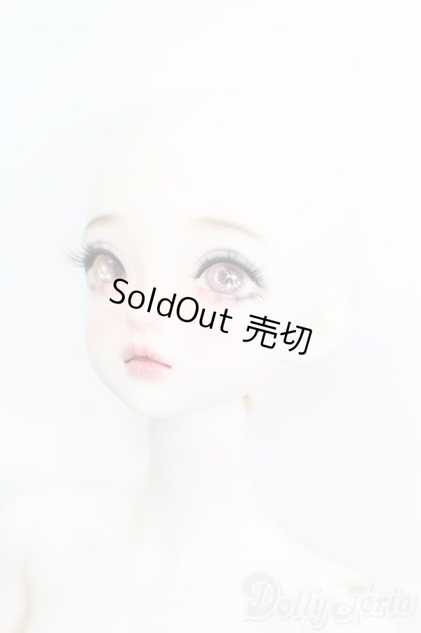 画像2: XAGADOLL/?朱フルセット S-25-11-23-536-TO-ZS (2)