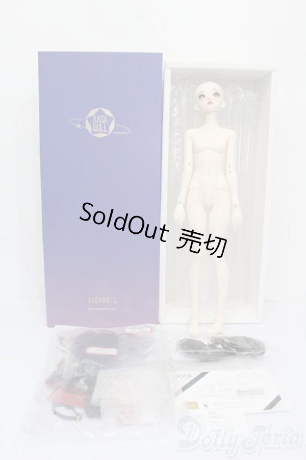 画像6: XAGADOLL/?朱フルセット S-25-11-23-536-TO-ZS (6)