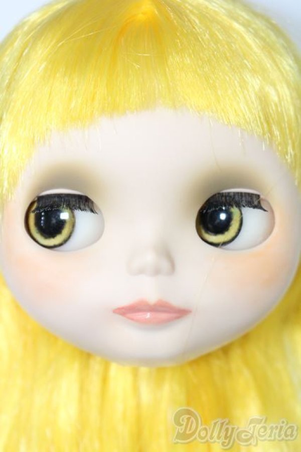 画像2: ネオブライス/カスタムヘッドのみ S-25-11-16-357-TO-ZS (2)