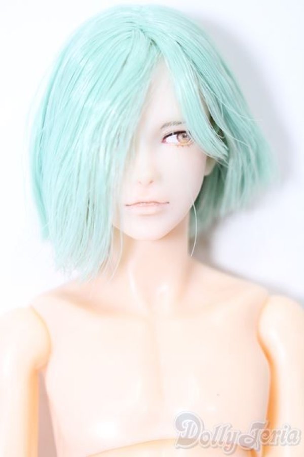 画像1: 六分の一男子図鑑/ナイン カスタム S-25-11-02-566-TO-ZS (1)