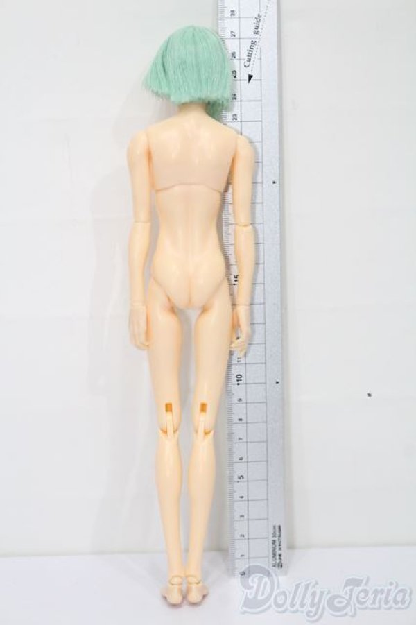 画像4: 六分の一男子図鑑/ナイン カスタム S-25-11-02-566-TO-ZS (4)