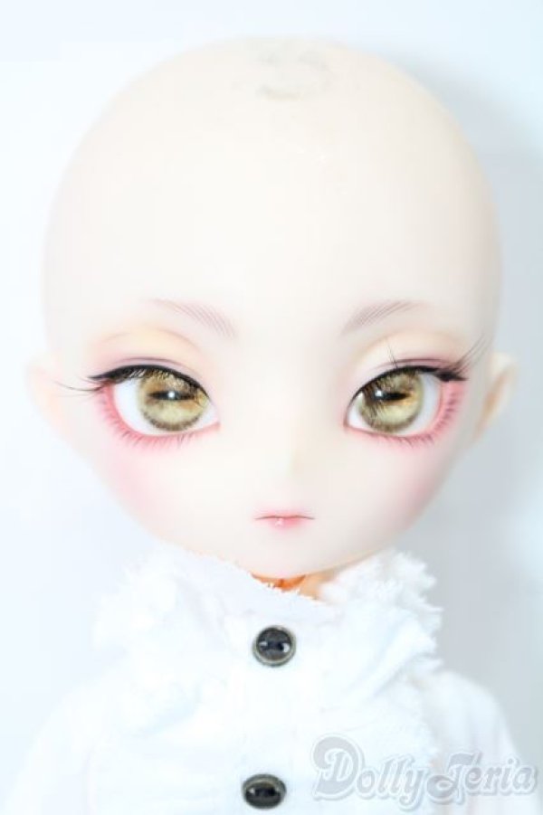 画像4: Harmonia bloom/カスタムヘッド&ボディ S-25-12-14-564-TO-ZS (4)