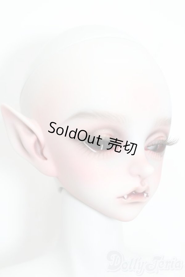 画像3: Peak's Woods/Dandy DOHWA Red Venom S-25-09-07-002-TO-ZS (3)