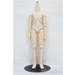 画像: パラボックス/男子ボディ40ｃｍ S-25-11-30-060-TN-ZS