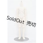 画像: パラボックス/男子ボディ40ｃｍ S-26-05-10-364-TN-ZS