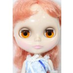 画像: ネオブライス/本体+衣装 S-25-09-07-025-TO-ZS
