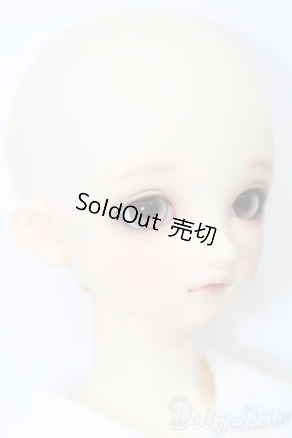 画像4: SD女の子/まい　スタンダードモデル S-25-09-07-103-TO-ZS (4)