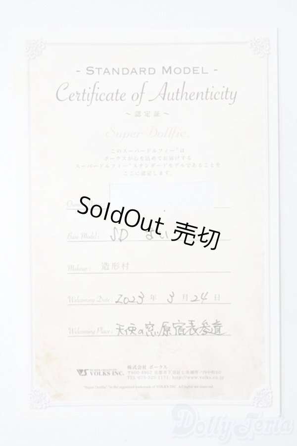 画像9: SD女の子/まい　スタンダードモデル S-25-09-07-103-TO-ZS (9)