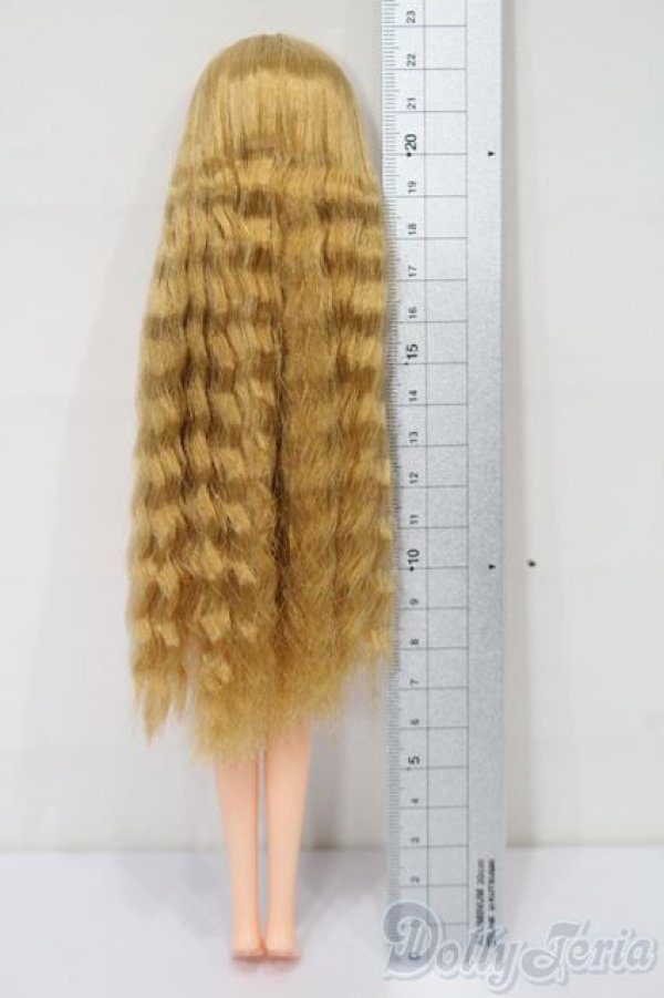 画像3: リカちゃん/お人形教室スペシャルリカちゃん S-25-12-14-516-TO-ZS (3)