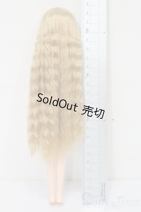 画像3: リカちゃん/お人形教室スペシャルリカちゃん S-26-03-08-334-TO-ZS (3)