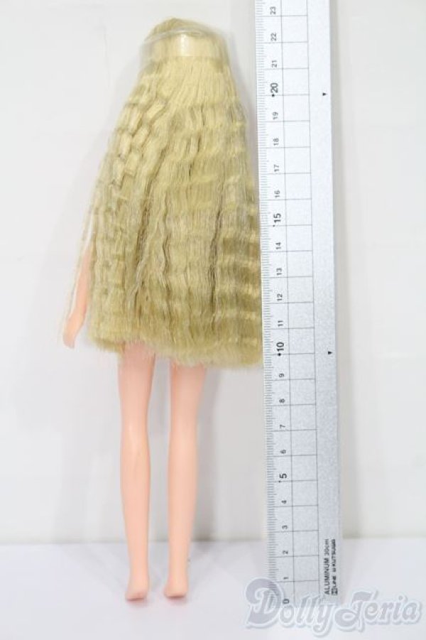 画像3: リカちゃん/本体 S-25-10-05-149-TO-ZS (3)