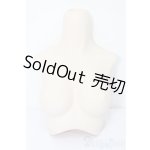 画像: DD/上半身パーツ・M胸 S-25-12-21-405-TO-ZS