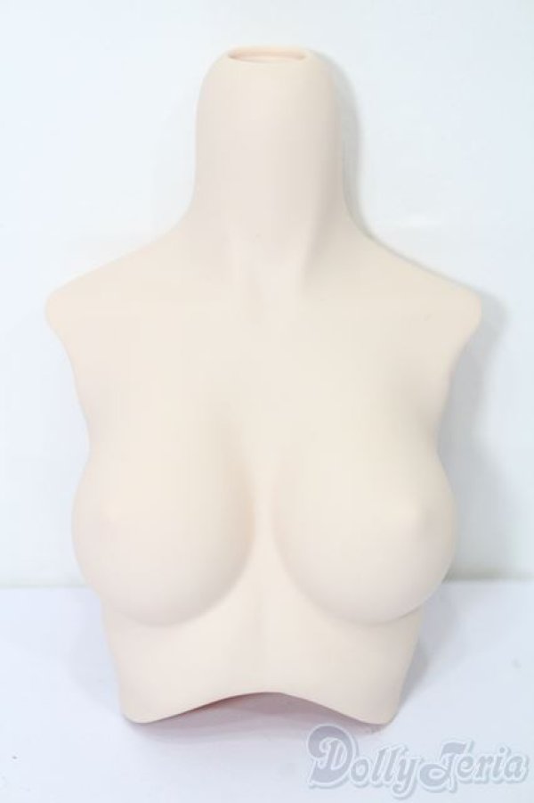 画像1: DD/上半身パーツ・M胸 S-25-09-07-125-TO-ZS (1)