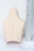 画像2: DD/上半身パーツ・M胸 S-25-09-07-125-TO-ZS (2)
