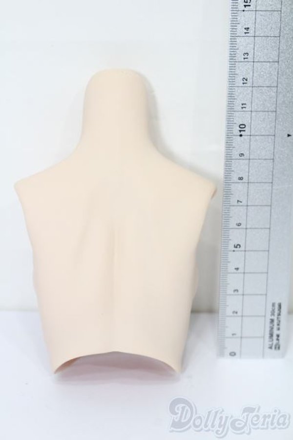 画像2: DD/上半身パーツ・M胸 S-25-09-07-125-TO-ZS (2)