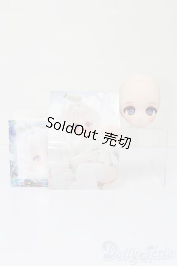 画像6: DD/DDH-27カスタムヘッド(うめよ様製) S-25-09-07-234-TO-ZS (6)