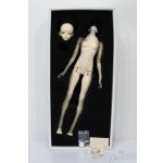 画像: Coralreefdoll/矢?菊Head+1/4Boy Body S-25-09-14-053-TO-ZS