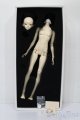 画像: Coralreefdoll/矢?菊Head+1/4Boy Body S-25-09-14-053-TO-ZS