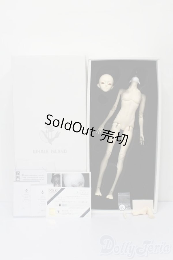 画像6: Coralreefdoll/矢?菊Head+1/4Boy Body S-25-09-14-053-TO-ZS (6)