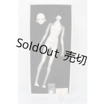 画像: Coralreefdoll/矢?菊Head+1/4Boy Body S-25-09-14-052-TO-ZS