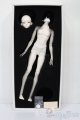 画像: Coralreefdoll/矢?菊Head+1/4Boy Body S-25-09-14-052-TO-ZS