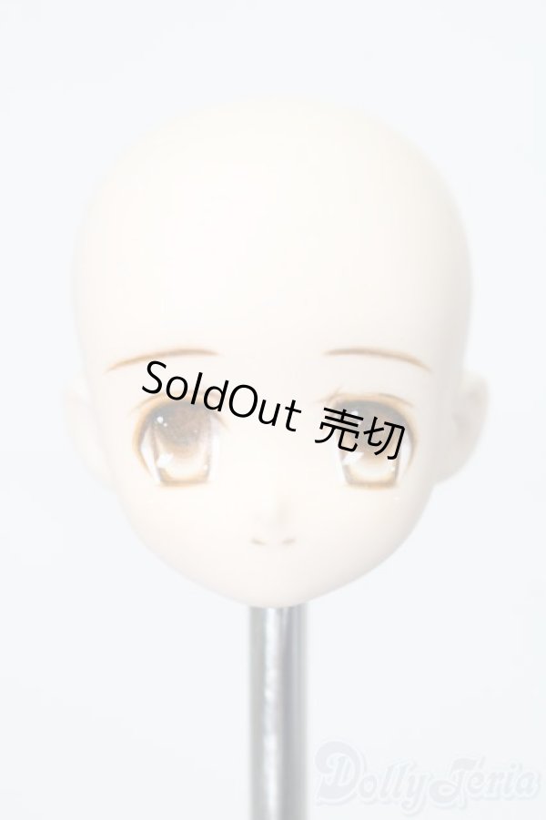 画像1: オビツ21/カスタムヘッド21-01 S-26-01-25-392-TO-ZS (1)