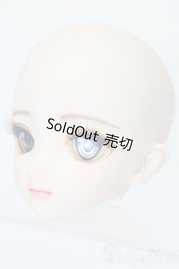 画像2: DD/DDH-09:カスタムメイクヘッド S-25-09-21-071-TO-ZS (2)