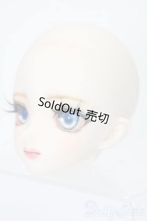 画像2: DD/DDH-09:カスタムメイクヘッド S-25-09-21-070-TO-ZS (2)