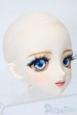 画像3: DD/DDH-09:カスタムメイクヘッド S-25-09-21-070-TO-ZS (3)