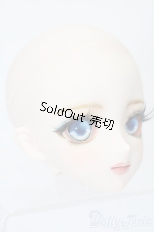 画像3: DD/DDH-09:カスタムメイクヘッド S-25-09-21-070-TO-ZS (3)